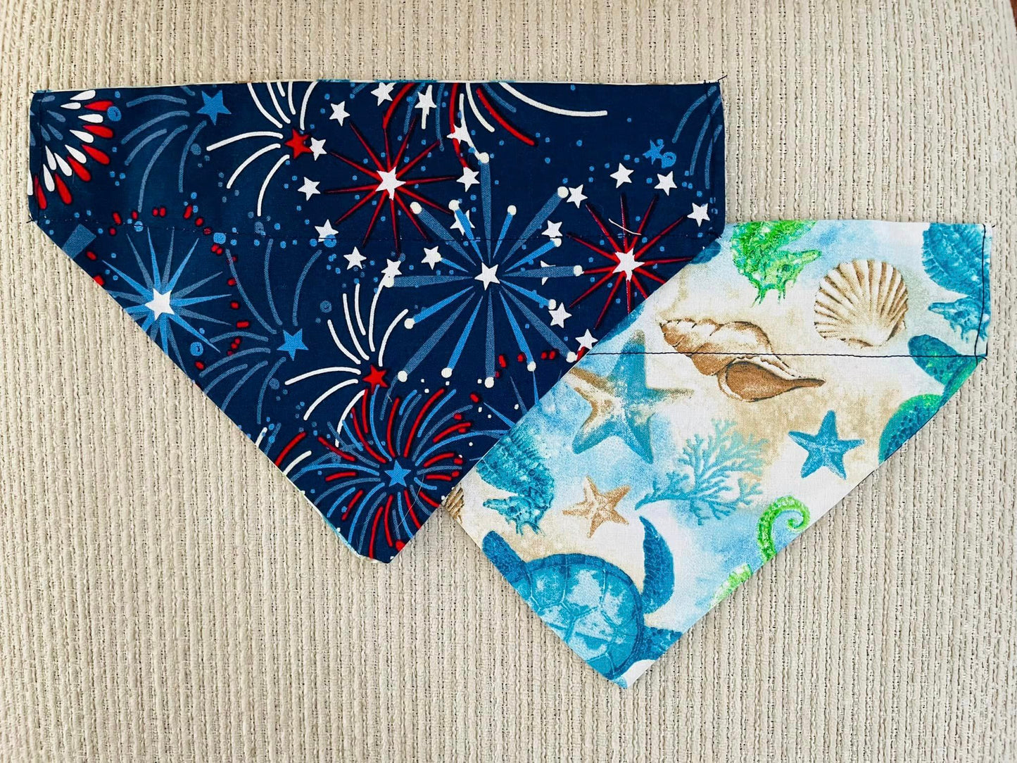 Fireworks/Sea Turtles & Sea Horses