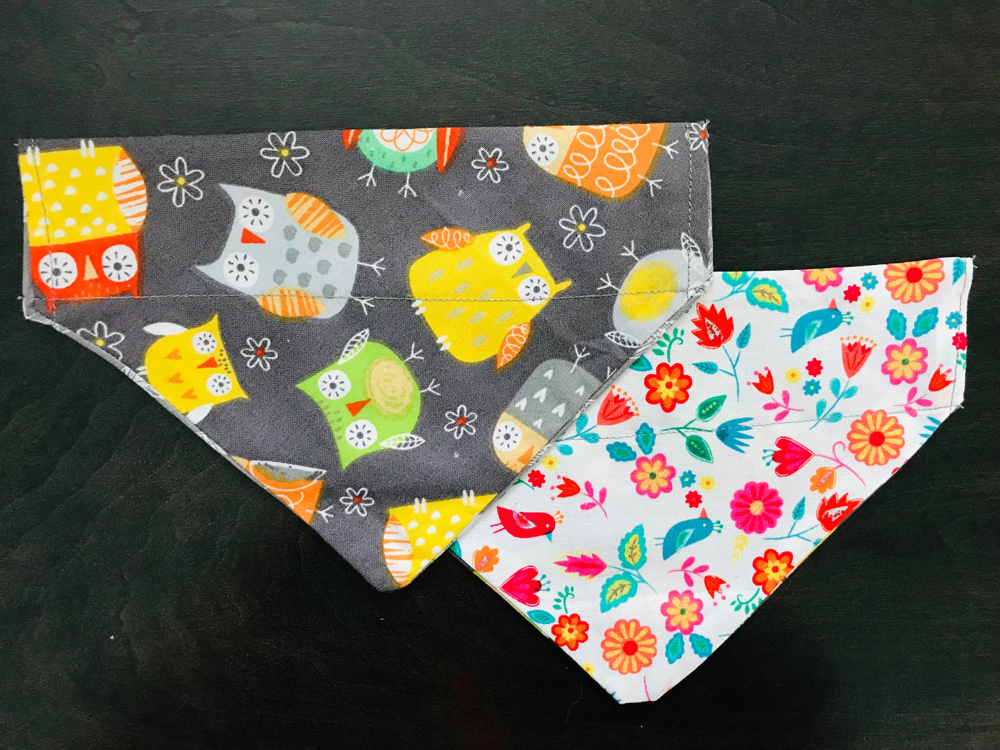 Colorful Owls/Flowers & Birds