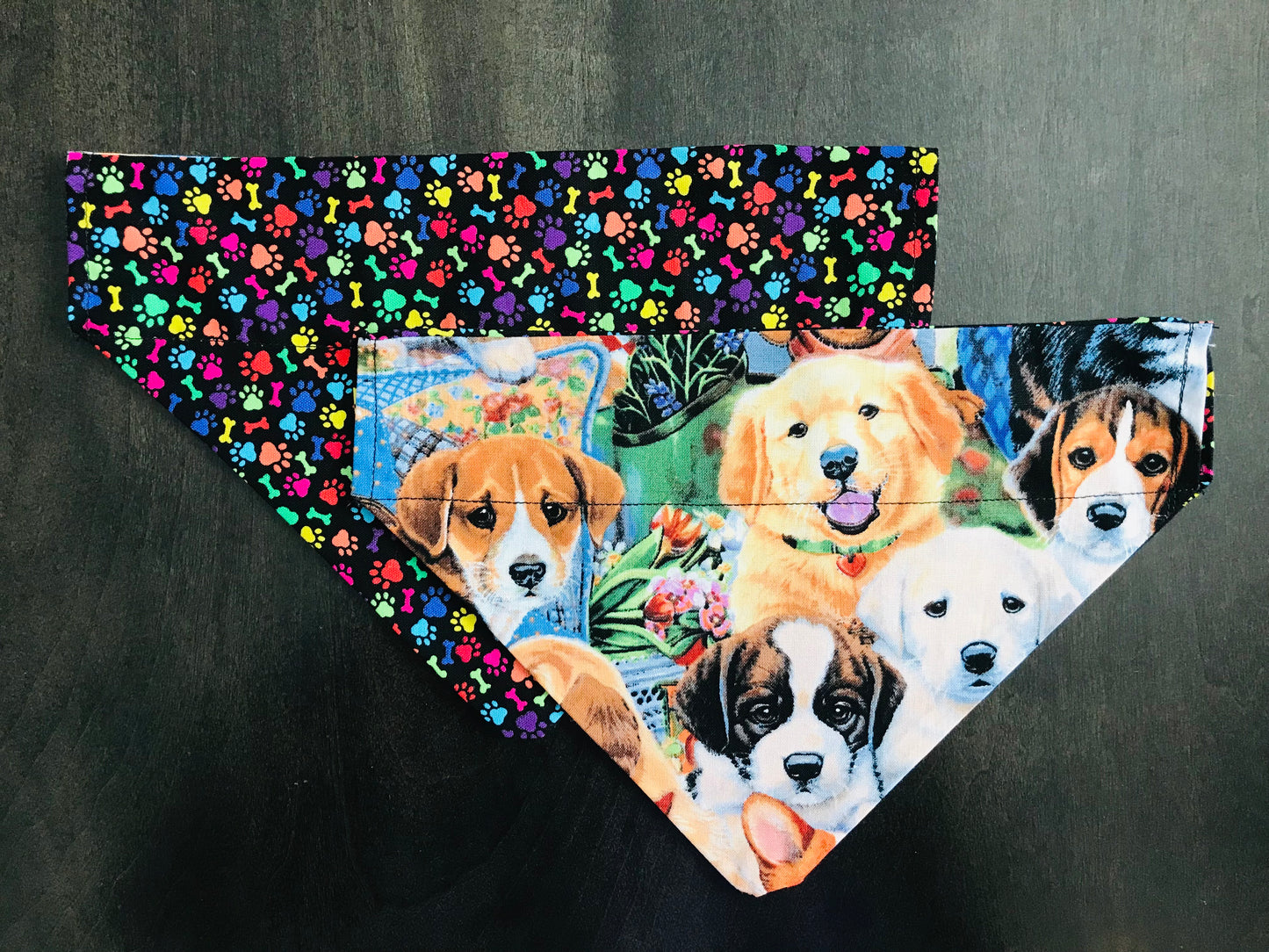 Multi-Colored Pawprints & Bones/Multiple Dogs