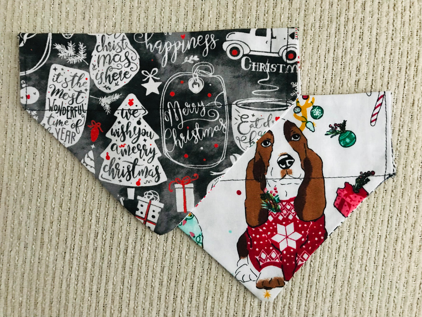 Winter Phrases/Christmas Dog in a Sweater