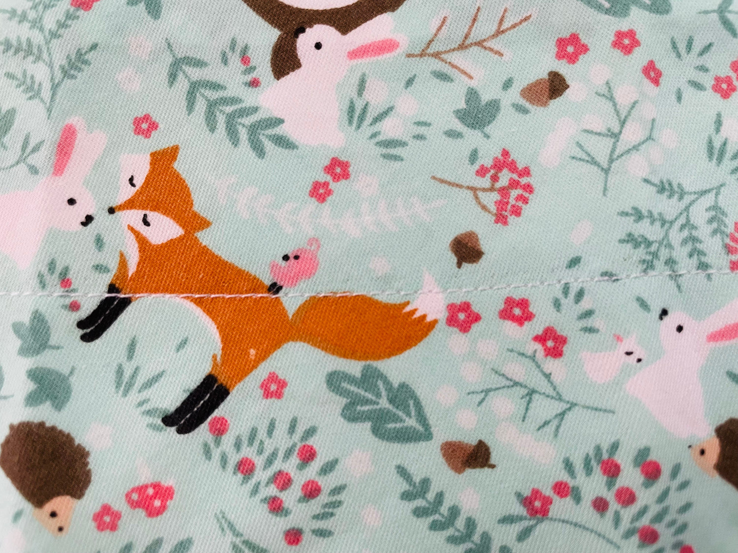 Wilderness Friends Collection