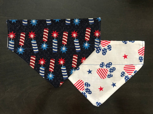 Firecrackers/Patriotic Pawprints