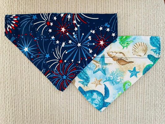 Fireworks/Sea Turtles & Sea Horses