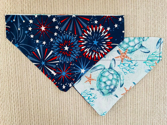 Fireworks/Sea Turtles