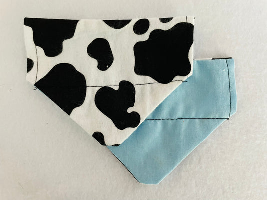 Cow Print/Solid Light Blue