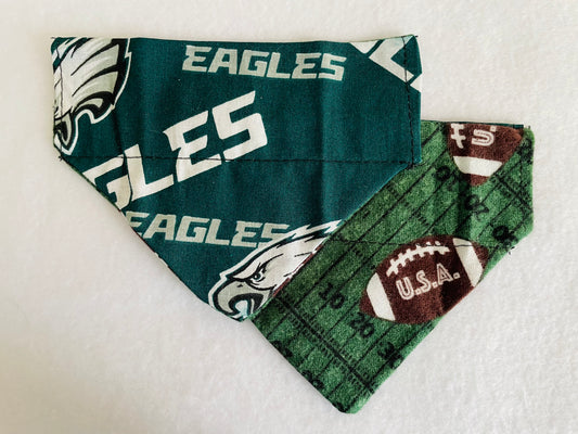 Eagles/Fleece Footballs