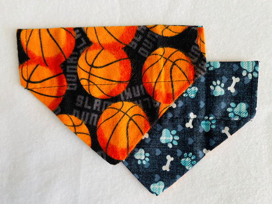 Basketballs/Blue Pawprints & Bones