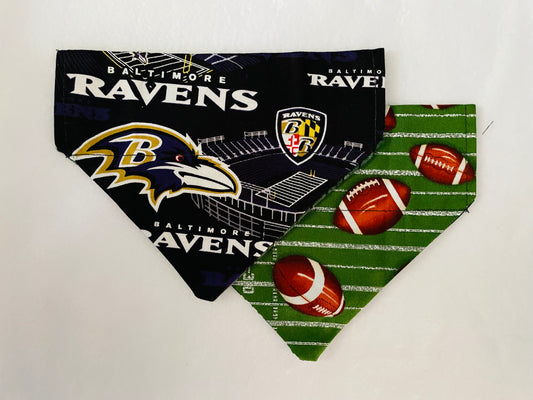Ravens/Smaller Footballs