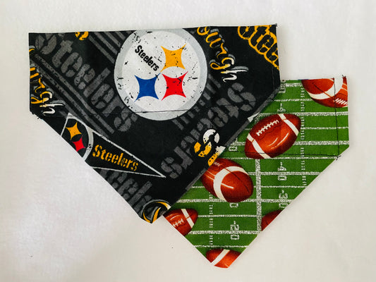 Steelers/Smaller Footballs