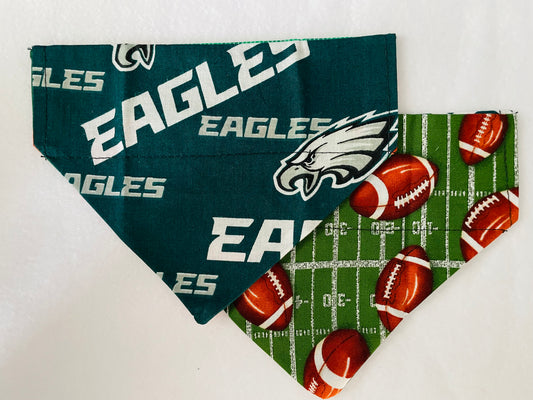 Eagles/Smaller Footballs