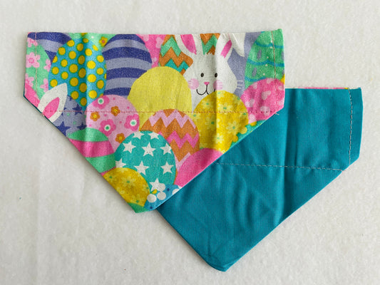 Easter Bunny & Eggs/Solid Teal