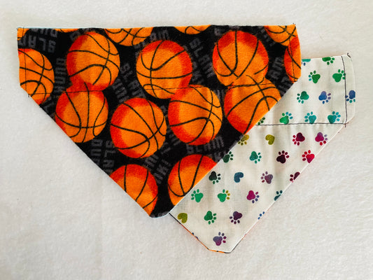 Basketballs/Multi-Colored Pawprints & Hearts