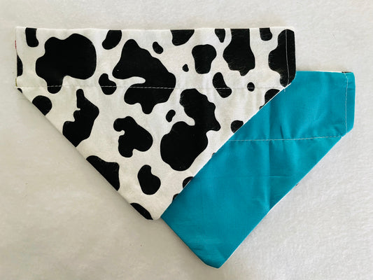 Cow Print/Solid Teal