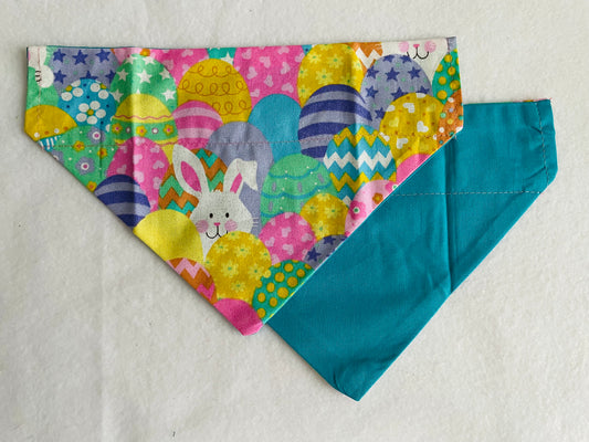 Easter Bunny & Eggs/Solid Teal