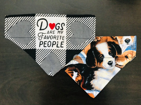 Dogs Are My Favorite People/Multiple Dogs