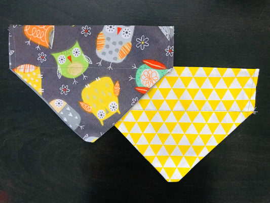 Colorful Owls/Yellow & White Triangles