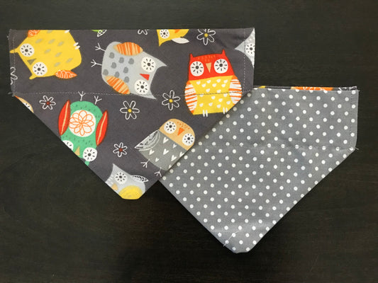 Colorful Owls/White Polka Dots