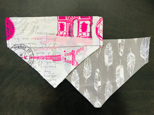Paris/White Feathers (Grey background)