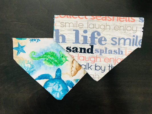 Sea Turtles & Sea Horses/Beach Phrases