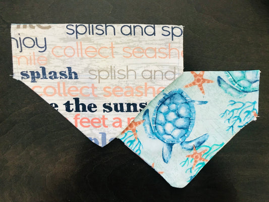 Sea Turtles/Beach Phrases