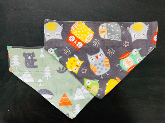Colorful Owls/Woodland Friends (Green)