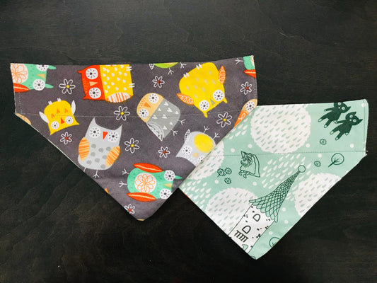 Colorful Owls/Fairytale Forest (Green)