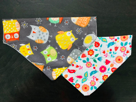 Colorful Owls/Flowers & Birds