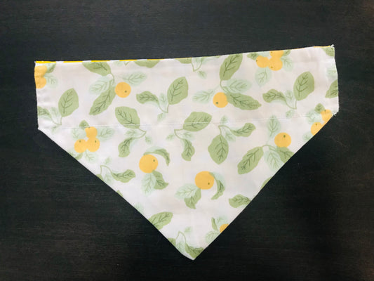 Lemon Plants/White Polka Dots (Yellow)