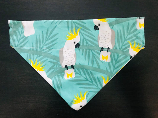 Tropical Birds/Yellow & White Chevron