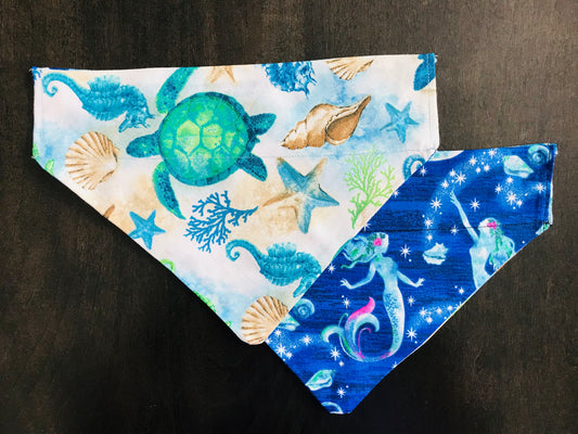 Sea Turtles & Sea Horses/Mermaids