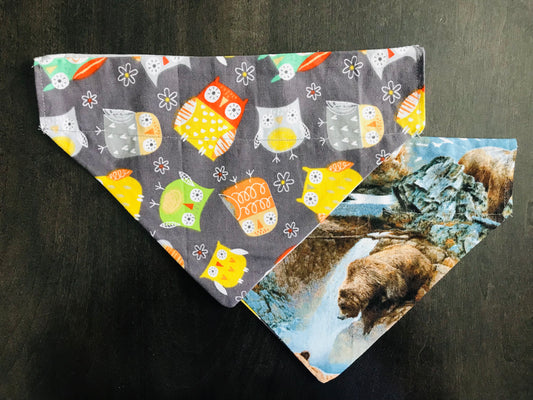 Colorful Owls/Bears in the River
