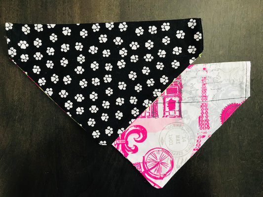 Paris/White Pawprints (Black)