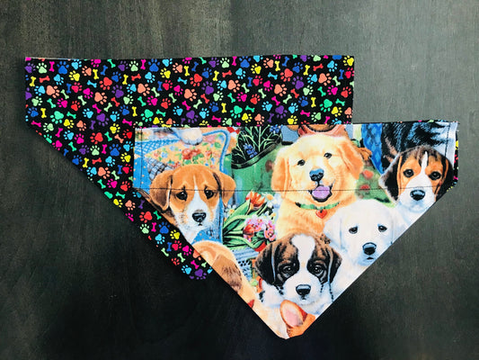 Multi-Colored Pawprints & Bones/Multiple Dogs