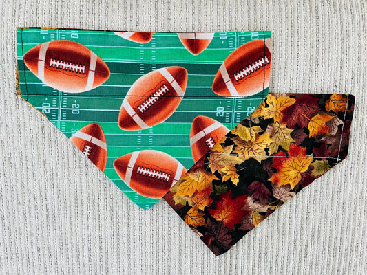 Footballs/Fall Leaves
