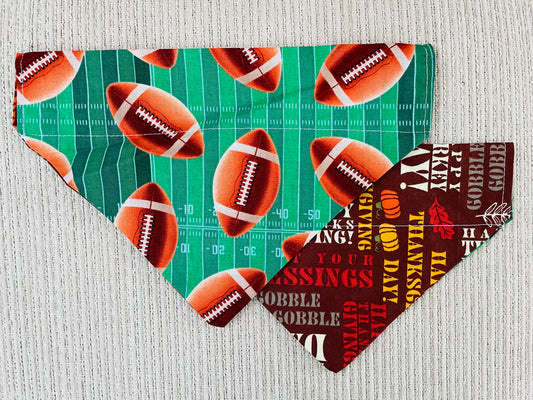Footballs/Turkey Day