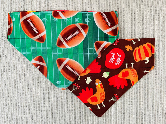 Footballs/Turkeys