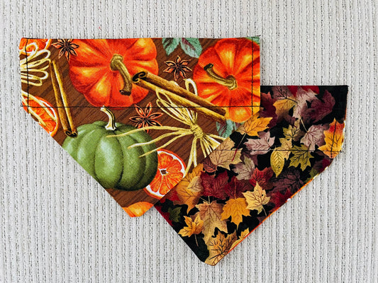 Pumpkins/Fall Leaves
