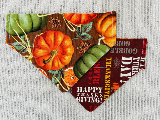 Pumpkins/Turkey Day