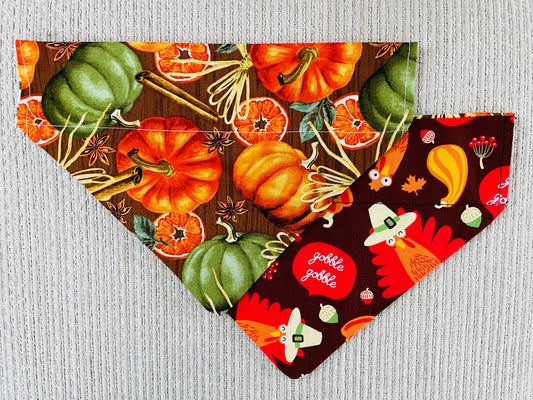 Pumpkins/Turkeys (Gobble, Gobble)