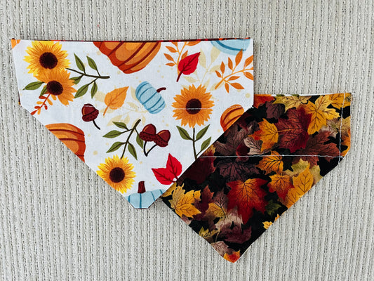 Pumpkins & Flowers/Fall Leaves