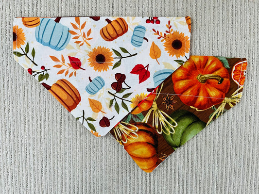 Pumpkins & Flowers/Pumpkins