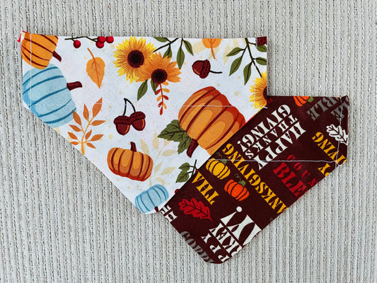 Pumpkins & Flowers/Turkey Day