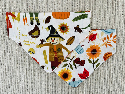 Scarecrows/Pumpkins & Flowers