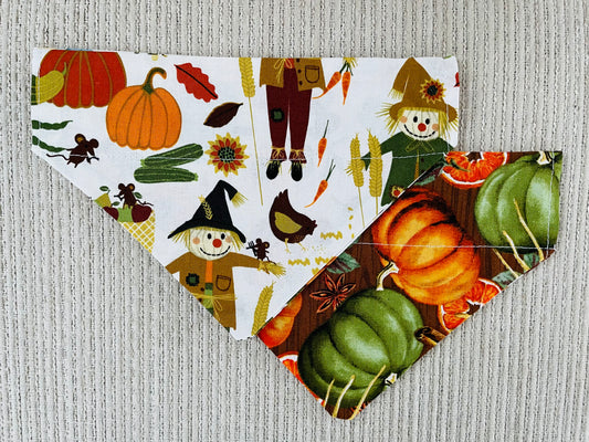 Scarecrows/Pumpkins