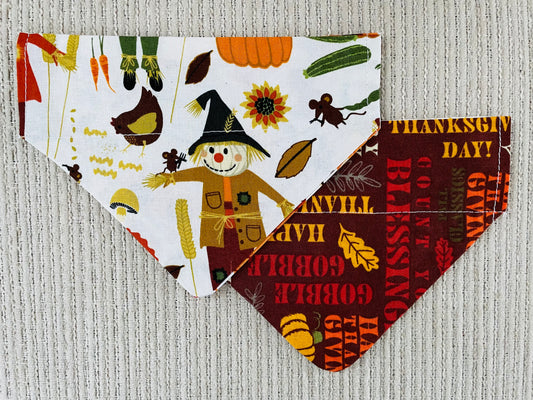 Scarecrows/Turkey Day