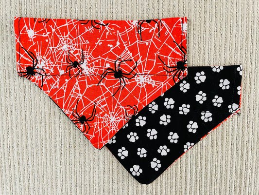 Spiders/White Pawprints