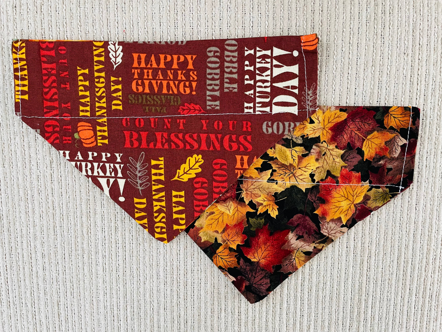 Turkey Day/Fall Leaves
