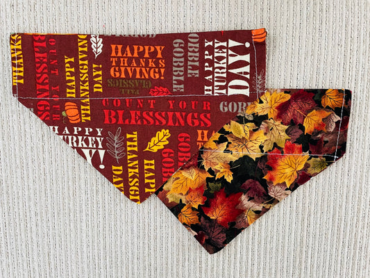 Turkey Day/Fall Leaves
