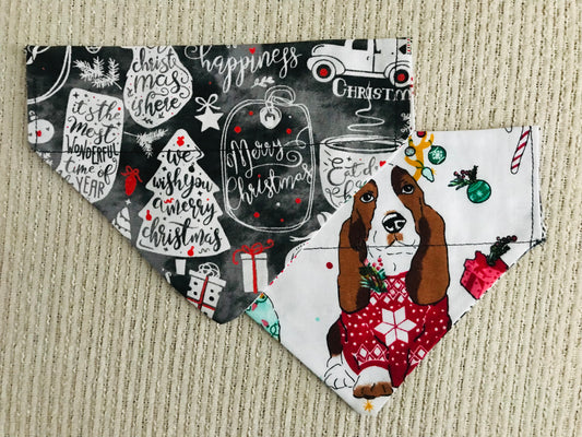 Winter Phrases/Christmas Dog in a Sweater