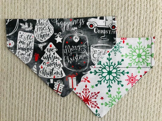 Green & Red Snowflakes/Winter Phrases